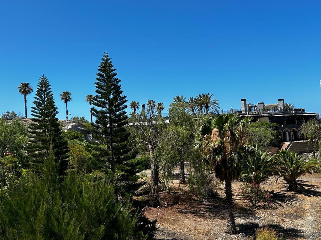 Villa Natali ,Luxury 3-Levels Large Villa On Tenerife, Ocean View, Private Poo L& Barbecue Area Costa Adeje  Extérieur photo